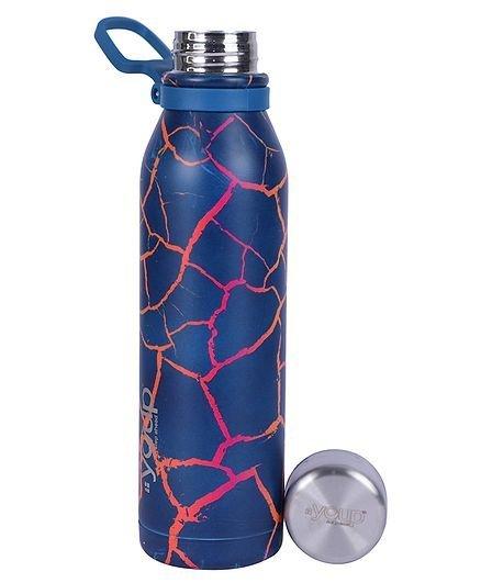 Youp Stainless Steel Water Bottle, 1000ml, Purple